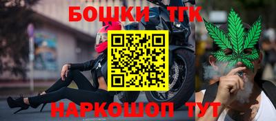 apvp Лесосибирск